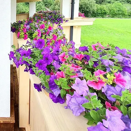 公寓 In Stubai Alps With Supercard *